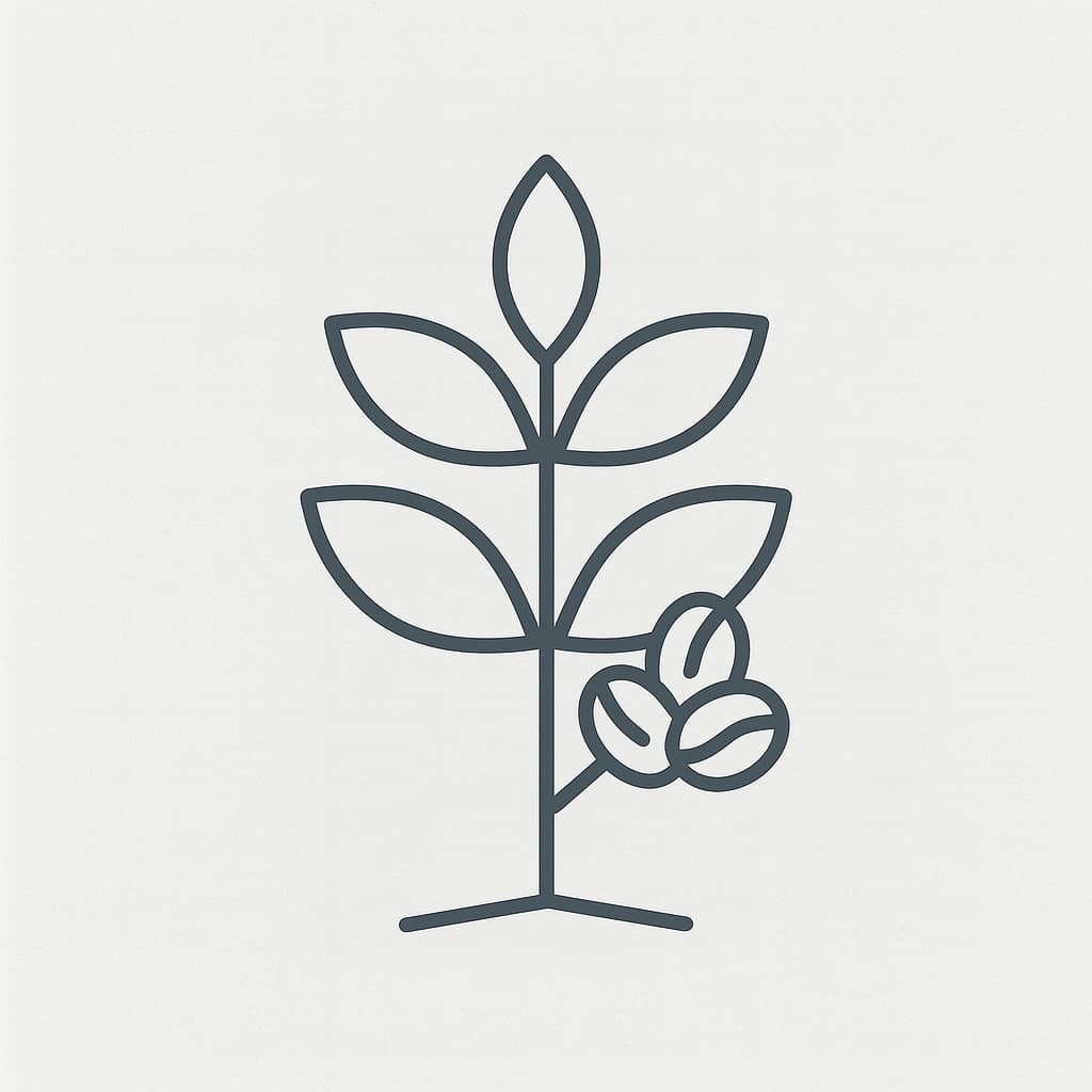 Coffee Family Tree